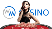 WM Suite