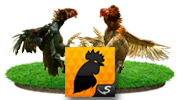 CockFT